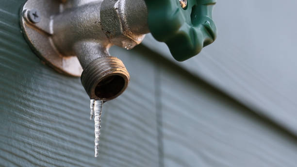 Best Shower Repair Services  in Plandome, NY